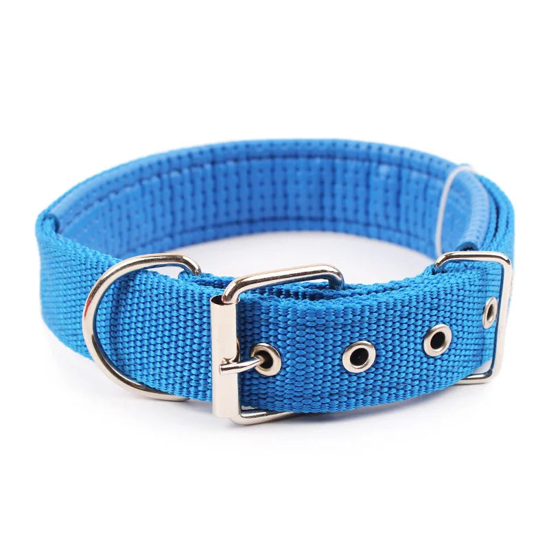 Collar de Nylon para Perros – Resistente y Cómodo
