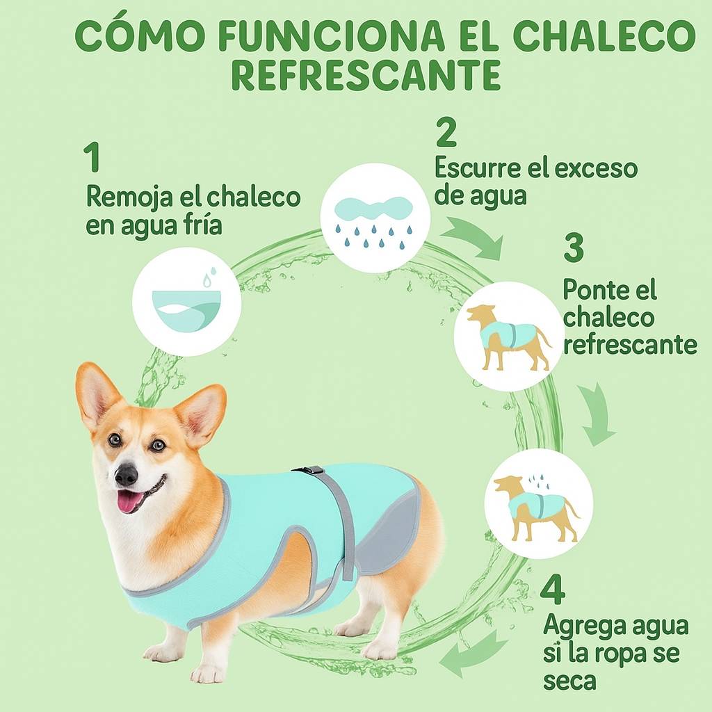 Guía visual en español sobre cómo usar el chaleco refrescante para perros Petify sobre fondo verde Petify