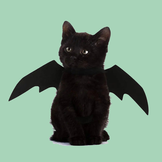 Gato con alas de murciélago negras posando para Halloween – disfraz de mascotas Petify & Co.