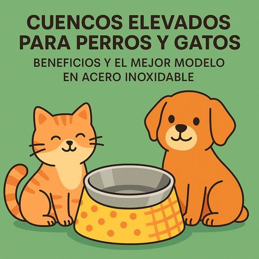 Cuencos elevados para perros y gatos: beneficios y el mejor modelo en acero inoxidable