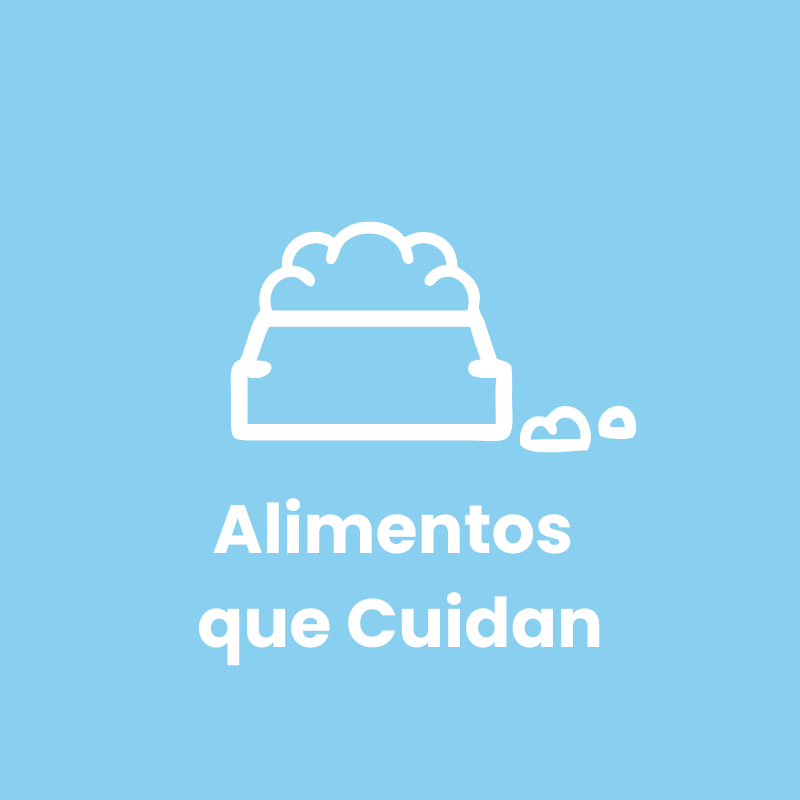 Alimentación Consciente y Bienestar para Mascotas