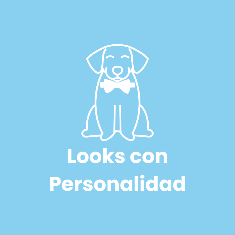 perro con pajarita looks con personalidad