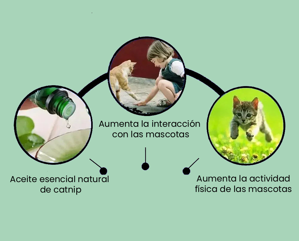 3 beneficios de las burbujas de catnip