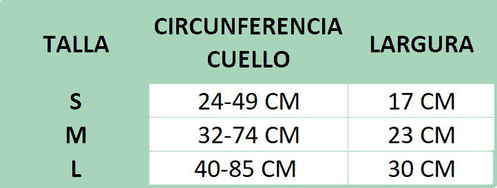 Gato con disfraz de bruja para Halloween, con capa y sombrero morado de Petify & Co.