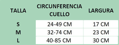 Gato con disfraz de bruja para Halloween, con capa y sombrero morado de Petify & Co.