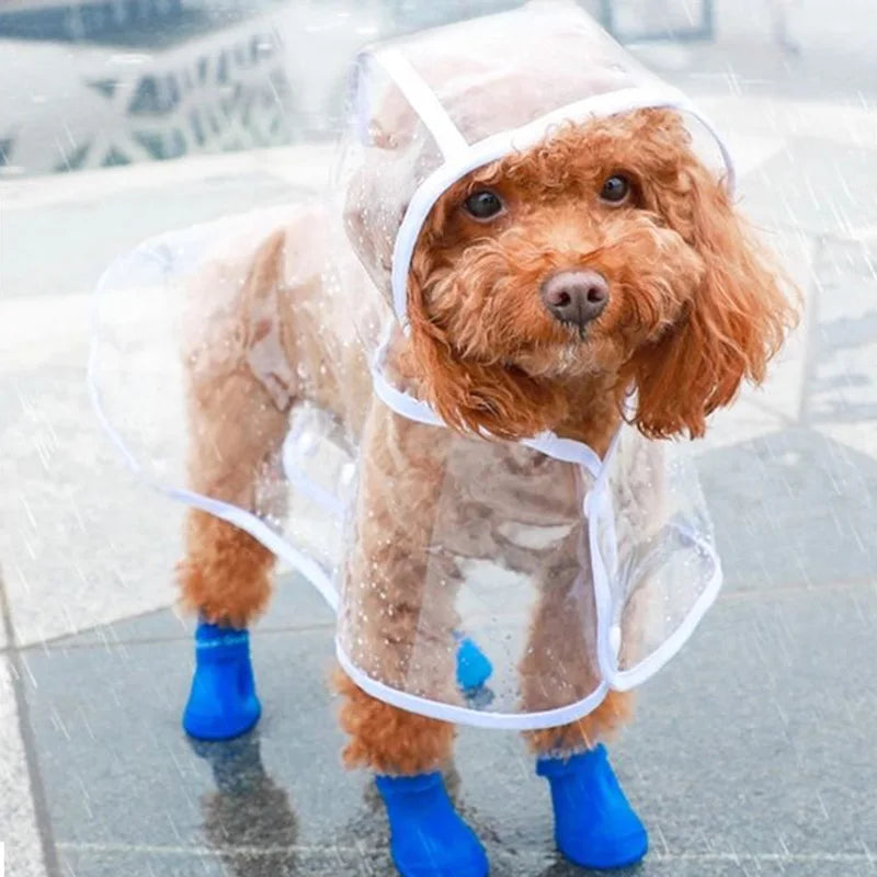 Impermeable para Perros – Chubasquero Ligero y Práctico