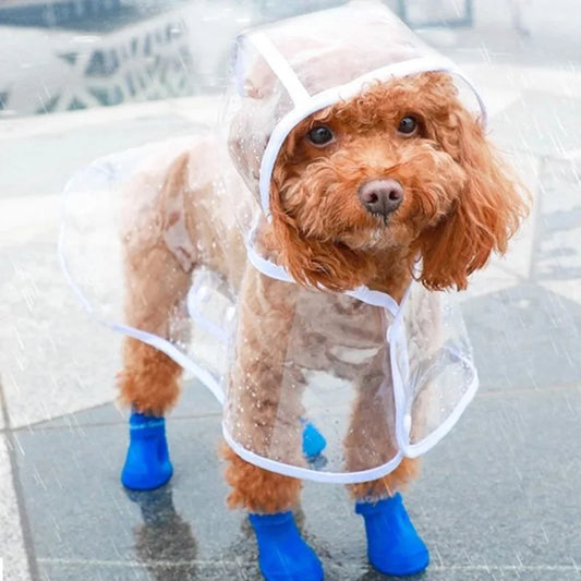 Impermeable para Perros – Chubasquero Ligero y Práctico