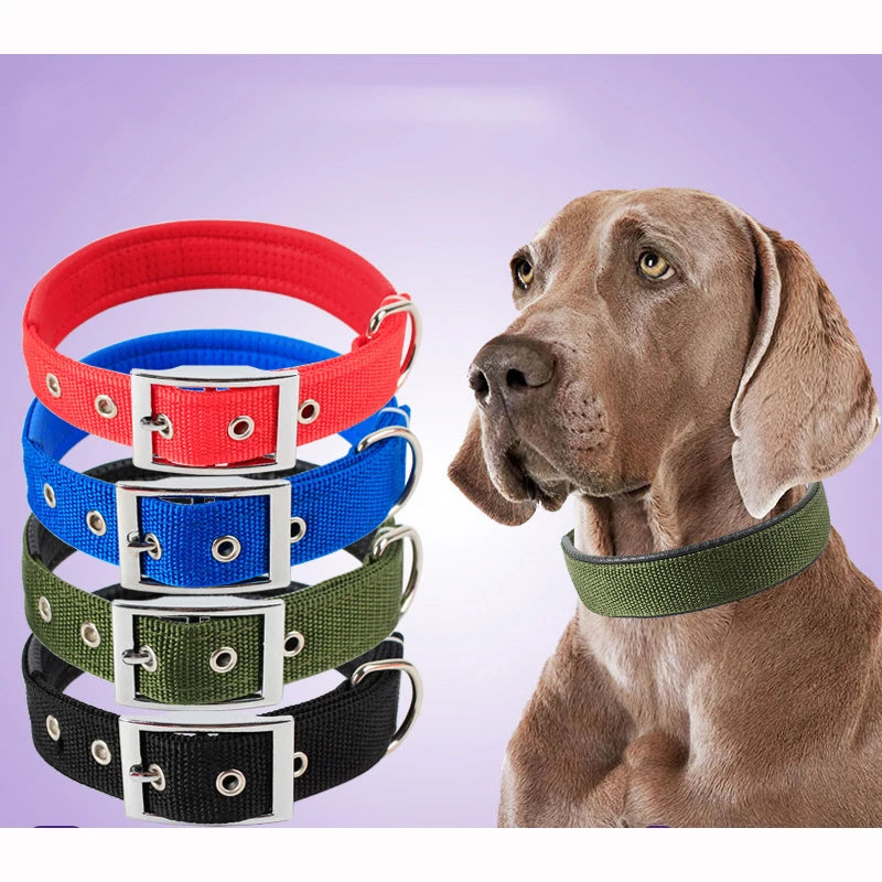 Collar de Nylon para Perros – Resistente y Cómodo