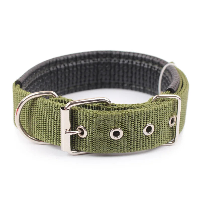 Collar de Nylon para Perros – Resistente y Cómodo