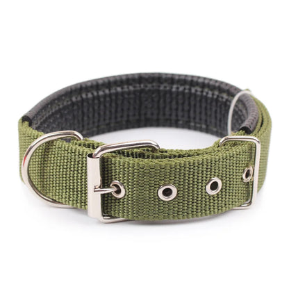 Collar de Nylon para Perros – Resistente y Cómodo