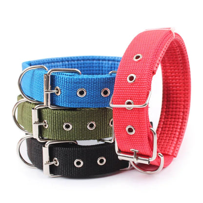 Collar de Nylon para Perros – Resistente y Cómodo
