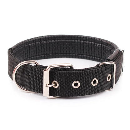 Collar de Nylon para Perros – Resistente y Cómodo