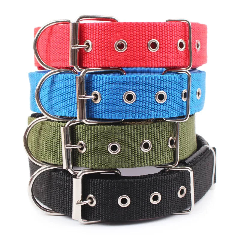 Collar de Nylon para Perros – Resistente y Cómodo