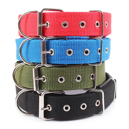 Collar de Nylon para Perros – Resistente y Cómodo
