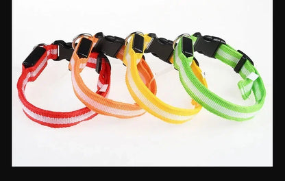 Collar LED para Perros – Seguridad Nocturna y Visibilidad