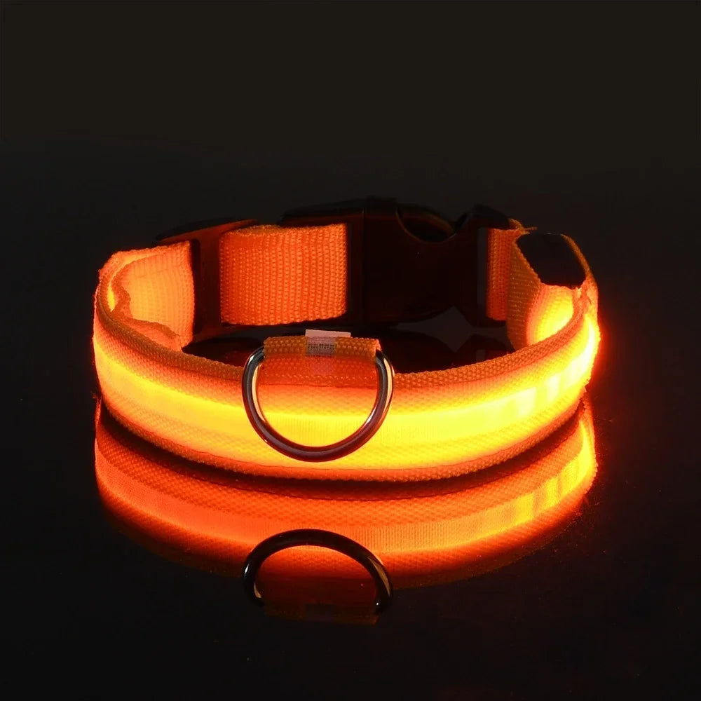 Collar LED para Perros – Seguridad Nocturna y Visibilidad