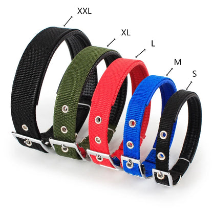 Collar de Nylon para Perros – Resistente y Cómodo