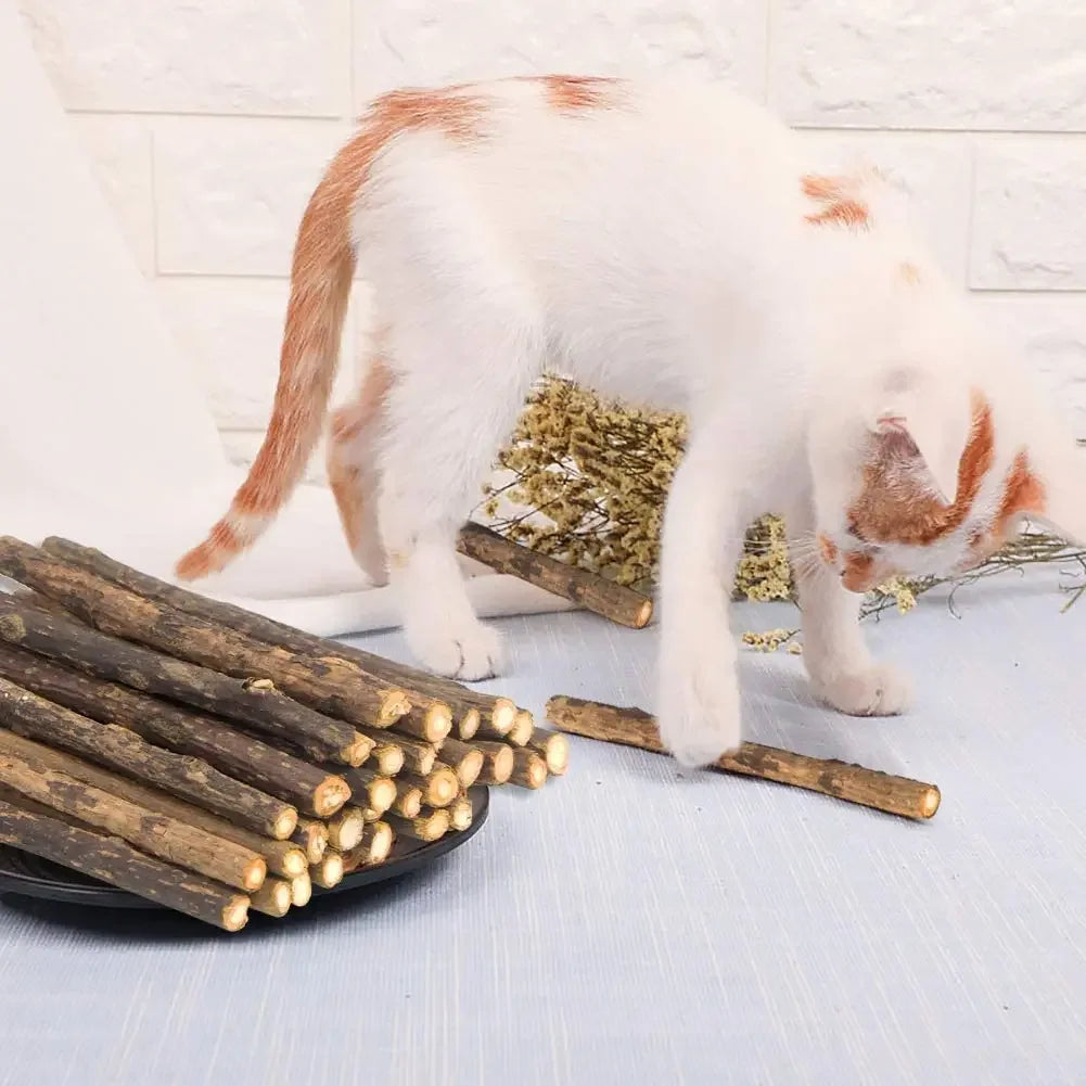 Palitos Naturales de Matatabi con Catnip