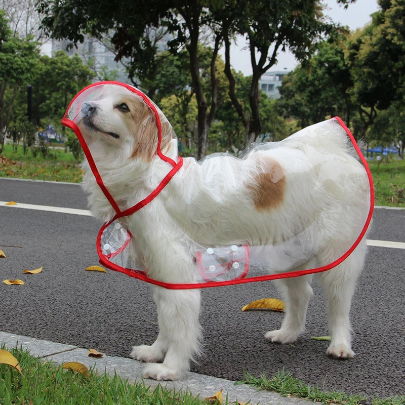 Impermeable para Perros – Chubasquero Ligero y Práctico