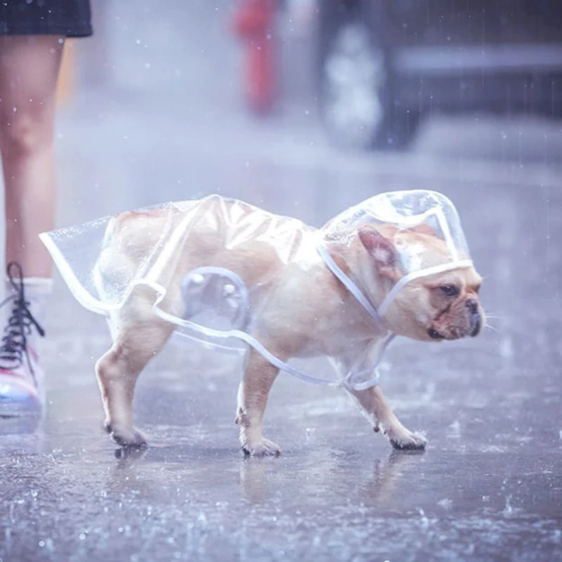 Impermeable para Perros – Chubasquero Ligero y Práctico