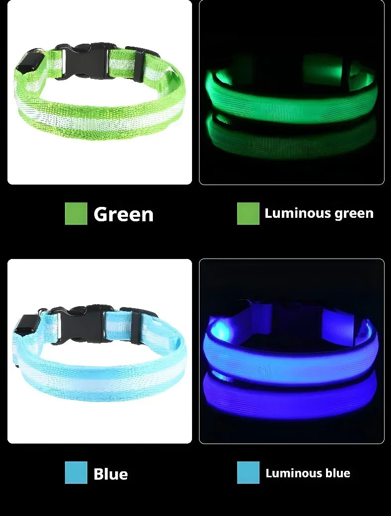 Collar LED para Perros – Seguridad Nocturna y Visibilidad