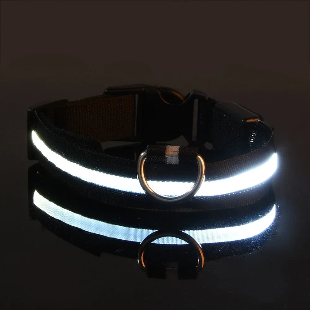 Collar LED para Perros – Seguridad Nocturna y Visibilidad