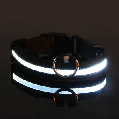 Collar LED para Perros – Seguridad Nocturna y Visibilidad