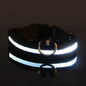 Collar LED para Perros – Seguridad Nocturna y Visibilidad