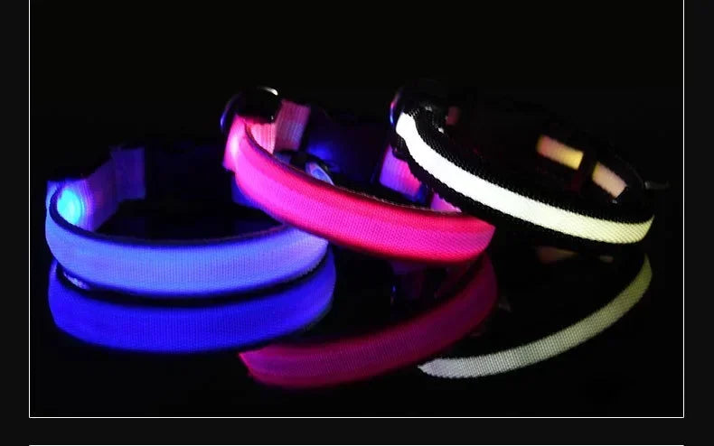 Collar LED para Perros – Seguridad Nocturna y Visibilidad
