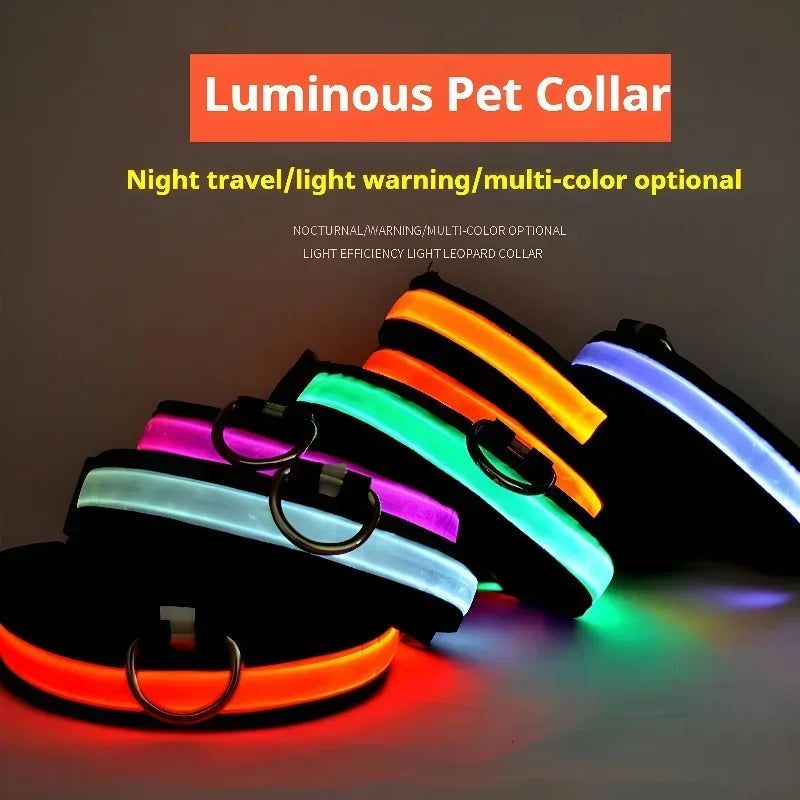 Collar LED para Perros – Seguridad Nocturna y Visibilidad