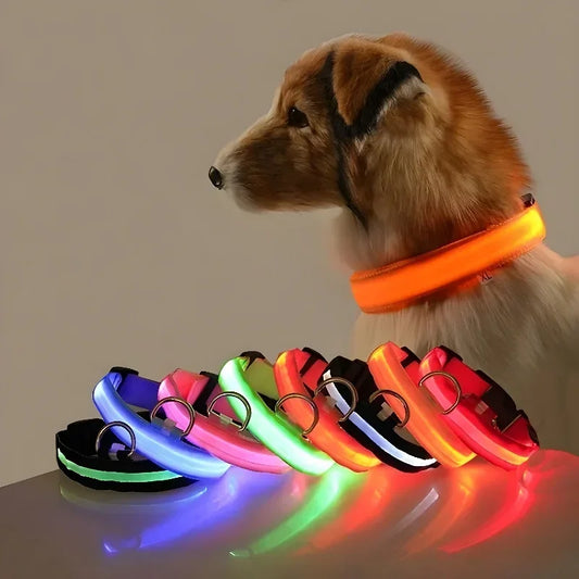 Collar LED para Perros – Seguridad Nocturna y Visibilidad