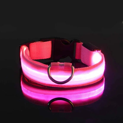 Collar LED para Perros – Seguridad Nocturna y Visibilidad