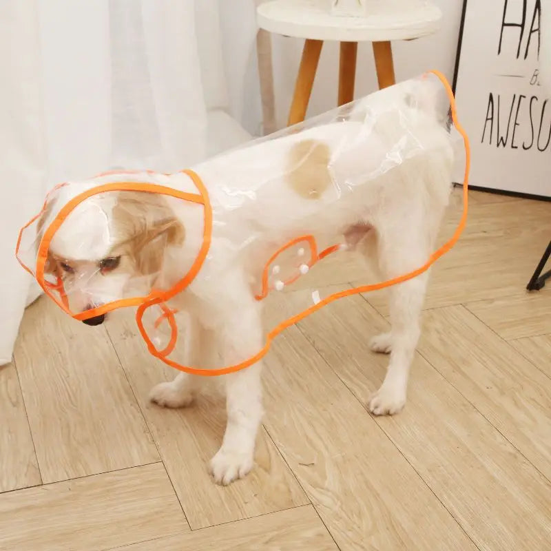 Impermeable para Perros – Chubasquero Ligero y Práctico
