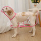 Impermeable para Perros – Chubasquero Ligero y Práctico