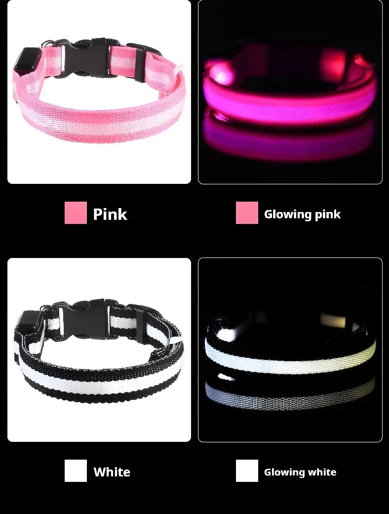 Collar LED para Perros – Seguridad Nocturna y Visibilidad