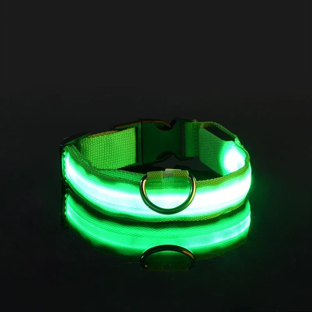 Collar LED para Perros – Seguridad Nocturna y Visibilidad