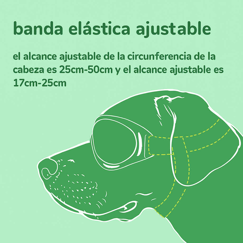 Ilustración explicativa de la banda elástica ajustable de las gafas protectoras para perros sobre fondo verde Petify