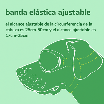 Ilustración explicativa de la banda elástica ajustable de las gafas protectoras para perros sobre fondo verde Petify