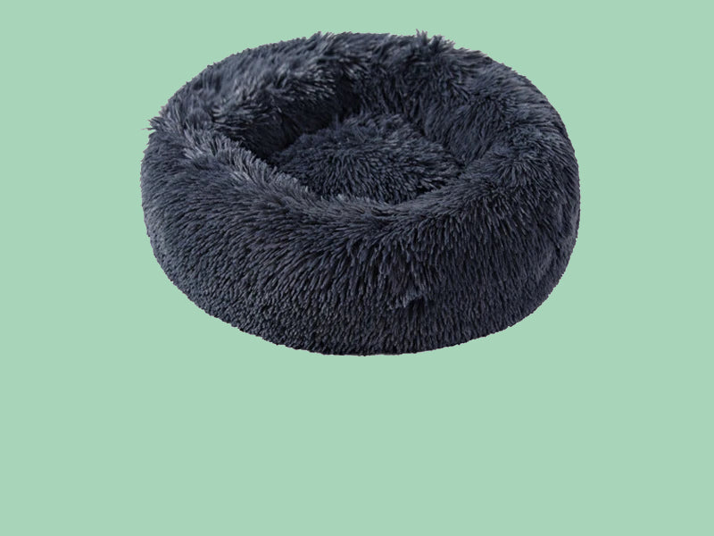 cama confort extra mascotas