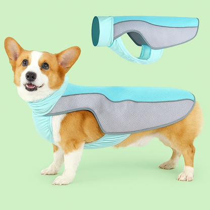 Corgi con chaleco refrescante azul y gris sobre fondo verde Petify con diseño ampliado