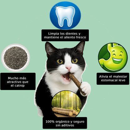 Palitos Naturales de Matatabi con Catnip