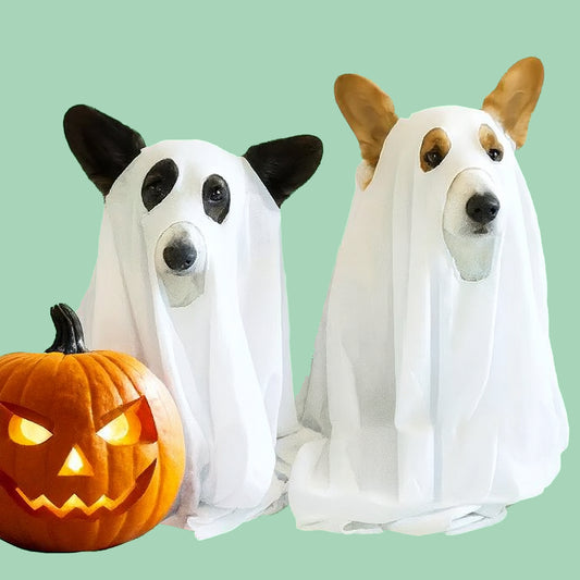 disfraz para perros fantasmal halloween espeluznante
