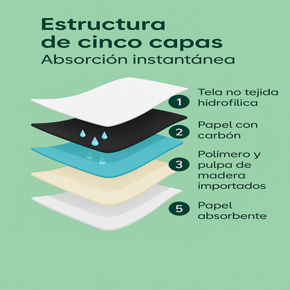Infografía de la estructura de cinco capas de los empapadores para perros Petify, con tela no tejida, papel con carbón, polímero absorbente, papel absorbente y película PE, sobre fondo verde Petify.