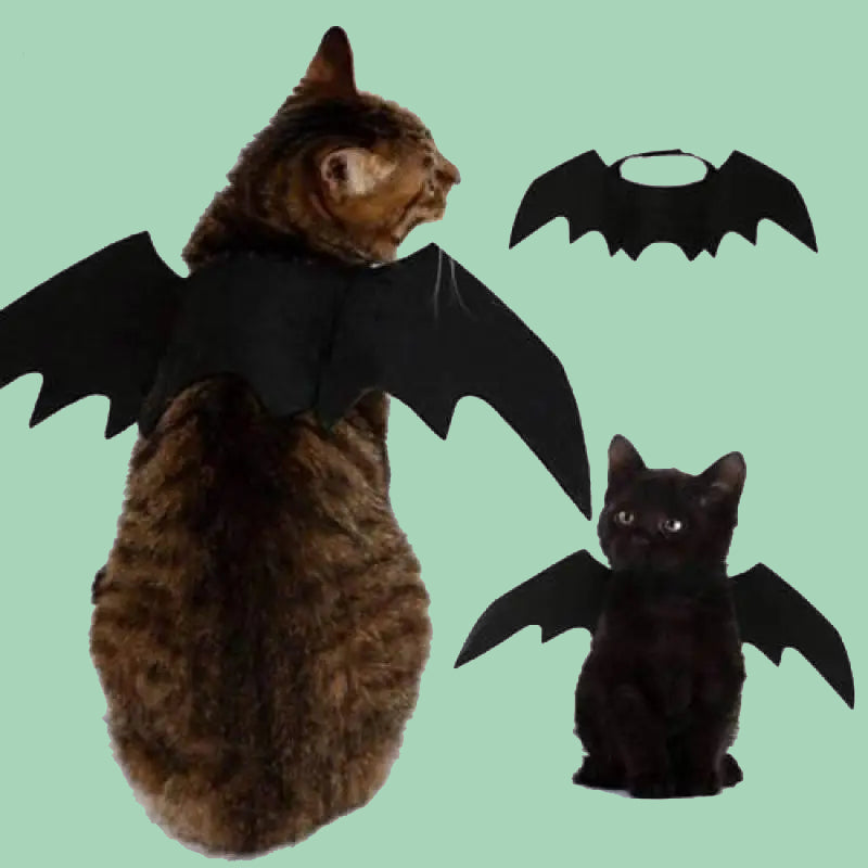 Disfraz de alas de murciélago negras para perros y gatos, fondo blanco – Petify & Co.
