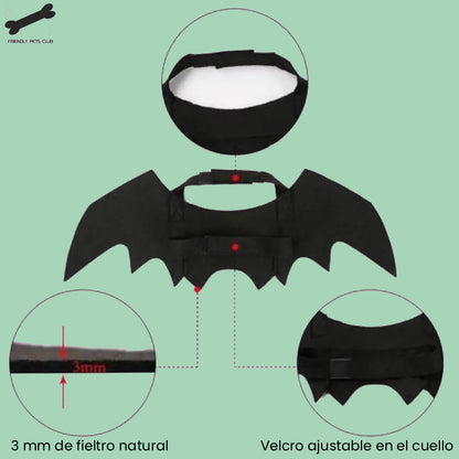 Vista lateral de gato con disfraz de alas de murciélago para Halloween – Petify & Co.