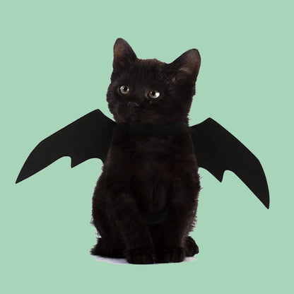 Gato con alas de murciélago negras posando para Halloween – disfraz de mascotas Petify & Co.