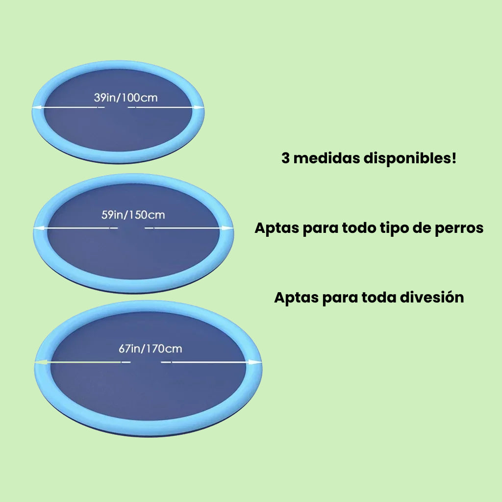 piscina de verano agua perros y gatos niños