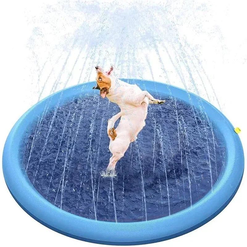 agua piscina azul y perro jugando con agua verano