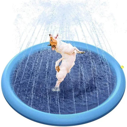 agua piscina azul y perro jugando con agua verano