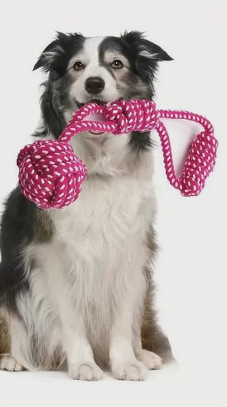 Juguete de Cuerda con Pelota para Perros | Diversión y Ejercicio